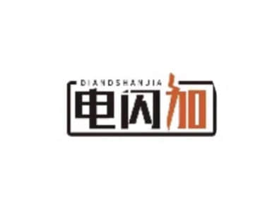 电闪加
